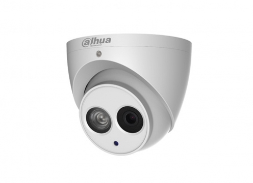 2 Megapiksel IR Dome IP Kamera - Sesli